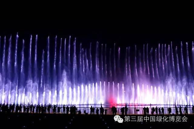  游乐|武清南湖十一攻略