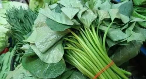  农村|过去农村喂猪的野菜，如今卖6块一斤，这种野菜，你喜欢不？