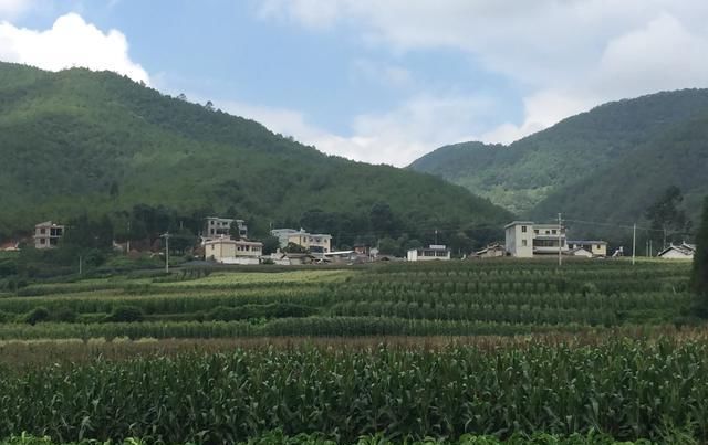 农村老人|生活在农村七老八十的农民老人们，他们主要有哪些养老方式养老