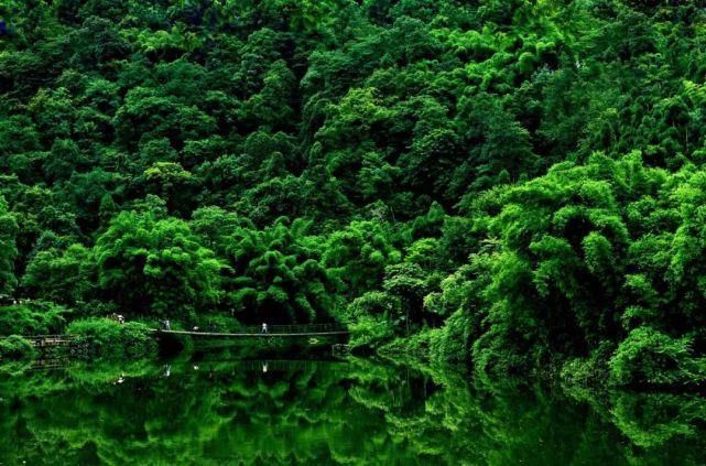  去一趟|避暑王者峨眉山，是时候去一趟了！