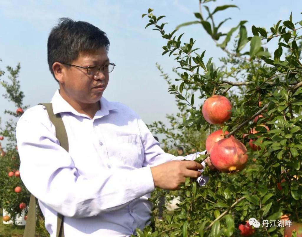 淅川|淅川脱贫档案解密：贾小民的脱贫之路