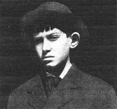 录取|天才的悲剧：7岁被哈佛录取，8岁会8国语言，最后被送进精神病院