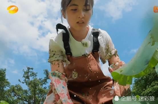 暴击|有一种“电影脸”叫张子枫！镜头怼脸拍的一刻，美颜暴击承受不住