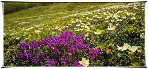 自驾|【鹤翔自驾】探秘长白山---网红打卡地