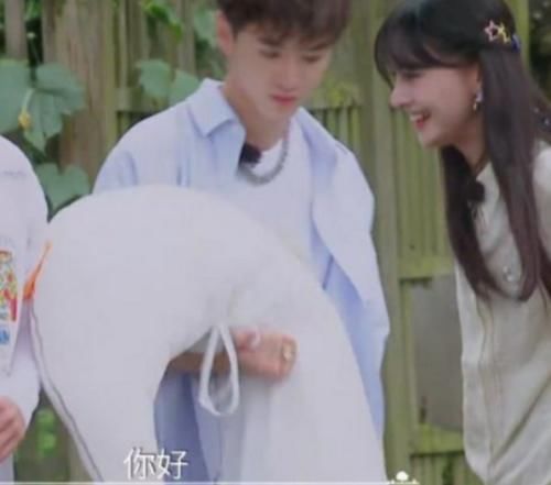  救场|郑爽情商有多低？故意认错许佳琪和谢可寅，尬得导演都没法帮她救场