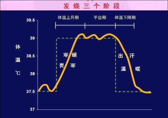  退烧|为什么发烧时喝热水真的可以退烧？