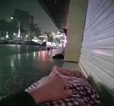 体验|“零下30度放屁是什么体验沙雕网友雪地演绎…哈哈哈哈结局辣眼睛”