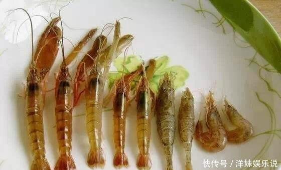 海鲜|海鲜大全, 你能认出多少