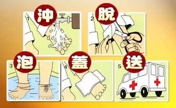  毛巾|揪心！6个月大女婴被烫伤，外公坚持用泡了白酒的毛巾包裹！送医时已休克