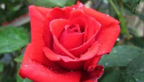 脸色|五虎上将脸色暗合五行生克：张飞打不赢马超，赵云出战能否获胜？