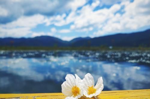  跟前夫|三个离婚女人的心里话：离婚多年还会想起前夫吗？