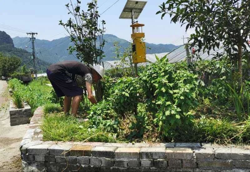 老人|揭秘!缙云一九旬老人的“养生之道”,竟是每天做这事