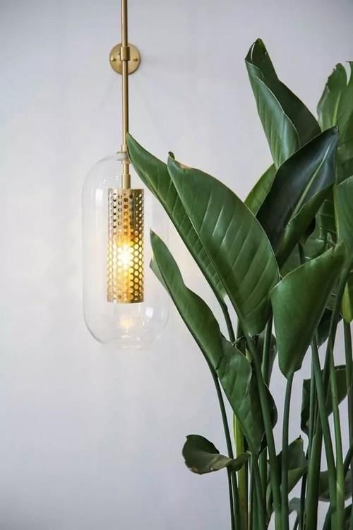  迷人|苏州夫妇130平的家，光一个厨房就把我圈粉，阳台更是迷人！晒晒