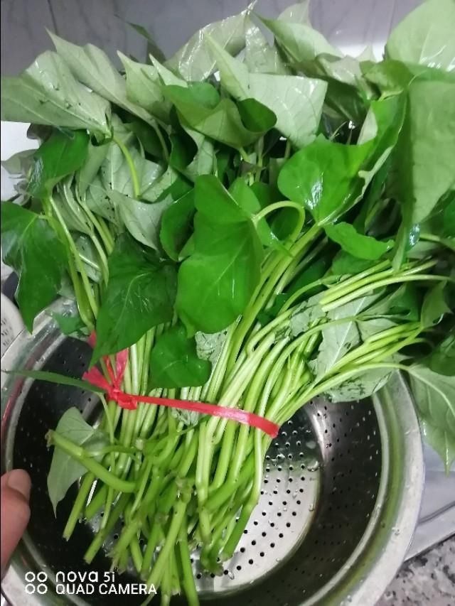  思考|读可可西里失联女孩新闻的一些对生命的思考