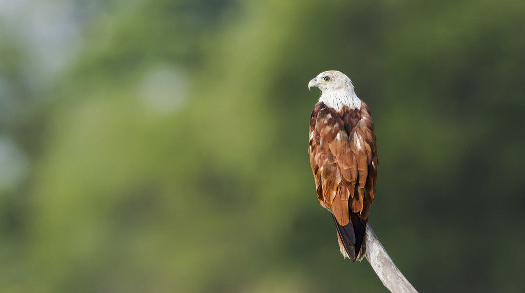  终不自|每日读·道德经丨034以其终不自为大，故能成其