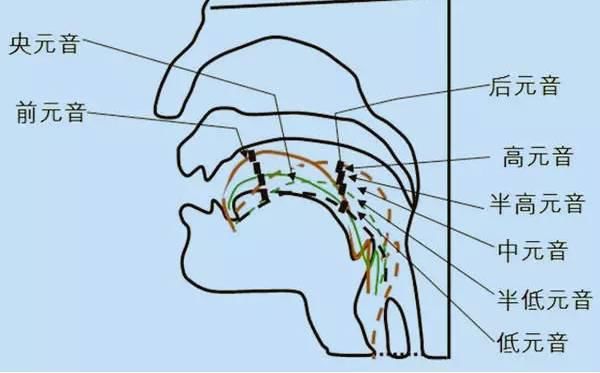  拼读|小学英语丨英语音标发音、拼读规则大全(带视频讲解)