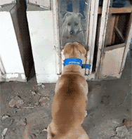 脖子|搞笑GIF:你的脖子还好吗