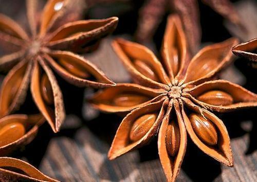 够香|无论卤什么肉,一定要用4种香料,这样才够香够入味!