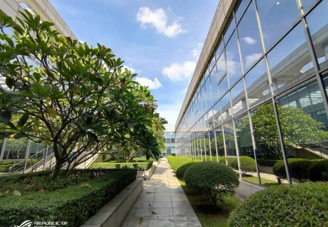  评测|ROG游戏手机3评测：首发865 Plus，看背后多数人会说三个字