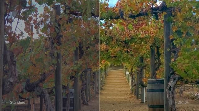 投资|从5G到AI,投资了众多中国企业后,高通称5G将从各方面改变生活