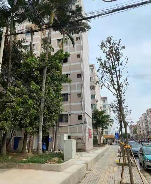  李子阳表示|女子失踪8年，儿子怀疑母亲男友：他说和妈妈吵架了，脸上还有伤