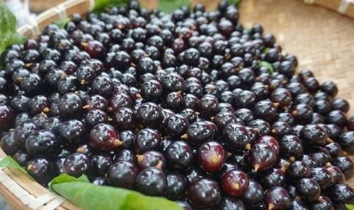  人工合成|不仅火锅材料有合成的，水果也有！2种人工合成的水果，你吃过吗