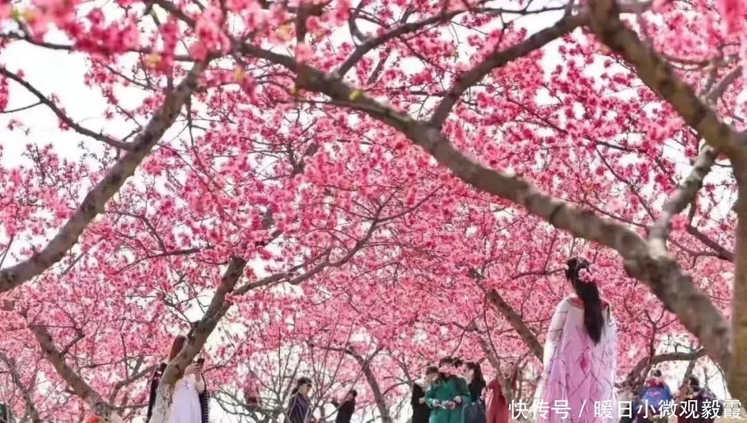 浅谈|浅谈秀丽东方IP对成都公园城市建设的借鉴作用