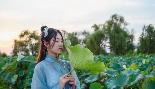  荷花仙子|中国最大的荷花观赏地，就在江苏这个小县城，每年100万游客前来