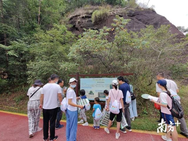 野生植物|热闹！“野生植物辨认大赛”600多名选手走进丹霞山“寻宝”