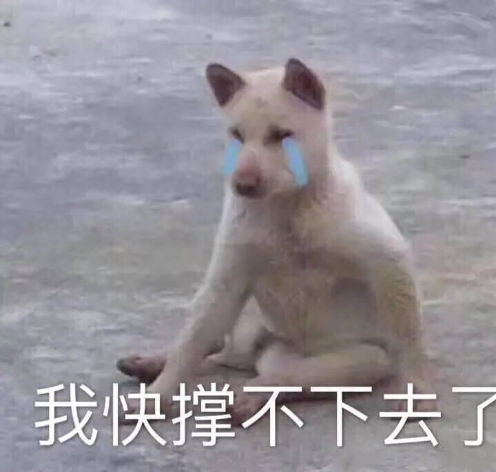 编辑|梦里让你流口水的这碗饭,醒来就该去会会它!