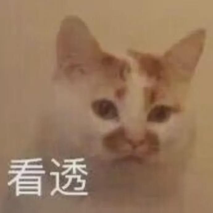  杨迪|下跪的杨迪，也救不回《青春环游记2》！