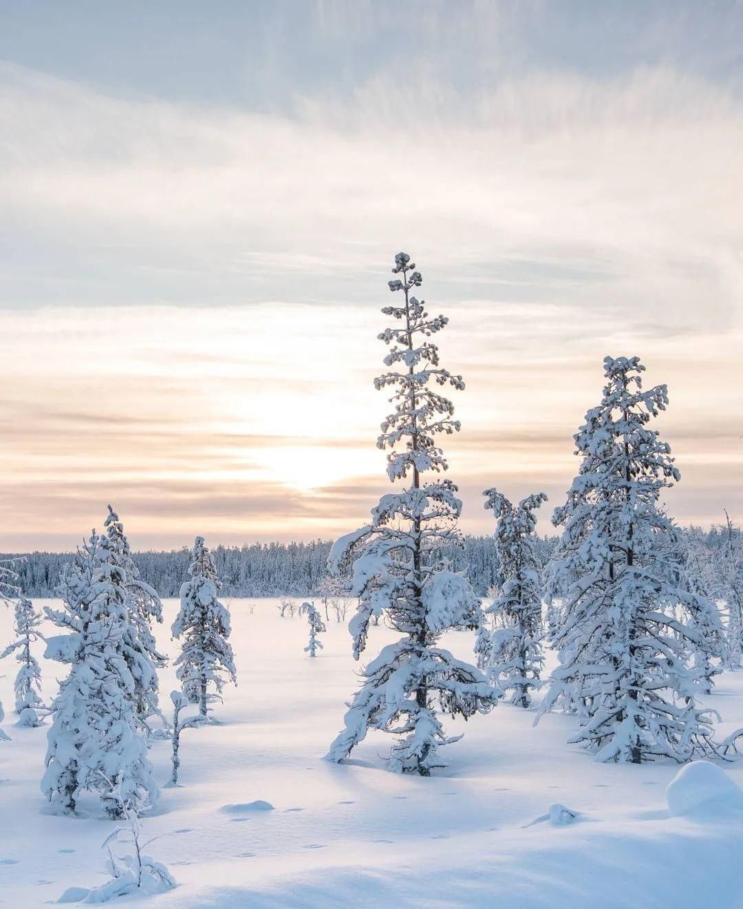  不止|瑞典的美，不止一种颜色！