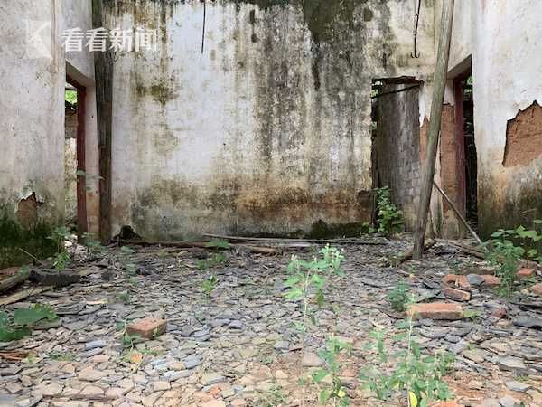  政府|张玉环希望＂政府分两亩地＂ 过回27年前平静生活