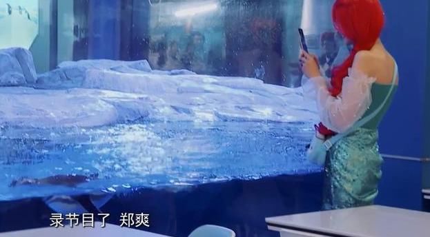  睡醒|玩游戏作弊，连喝水都作假，郑爽太敷衍遭杨迪怒怼：认真点