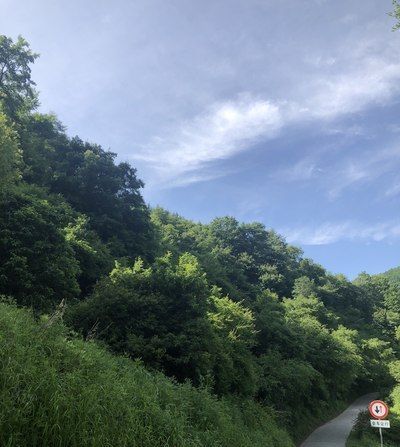  智慧|博越智慧pro带给你不一样的直观体验，乐享生活