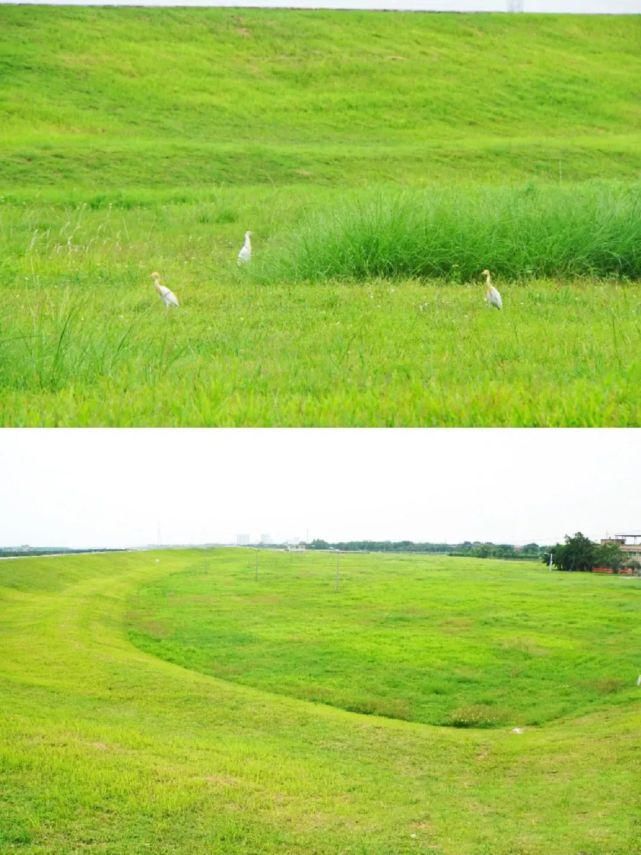 绝美|赶紧收藏！这几个附近的小众绝美玩水圣地！看了就想跳进去~