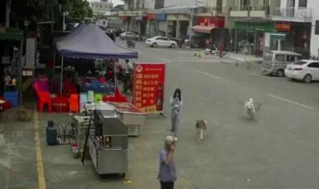  发生|毫无人性！老人被“狗绳绊倒”重摔身亡：12岁女孩冷漠逃走