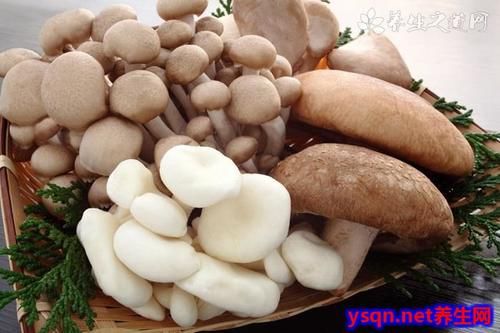  人体|作为最理想的高蛋白的鹅肉不仅两低而且其中有一样的含量很高对人体很有好处