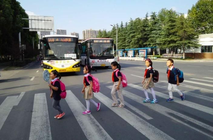 违反交通法|因礼让行人被宝马别车，交警扣6分路人不满：就应该吊销驾照