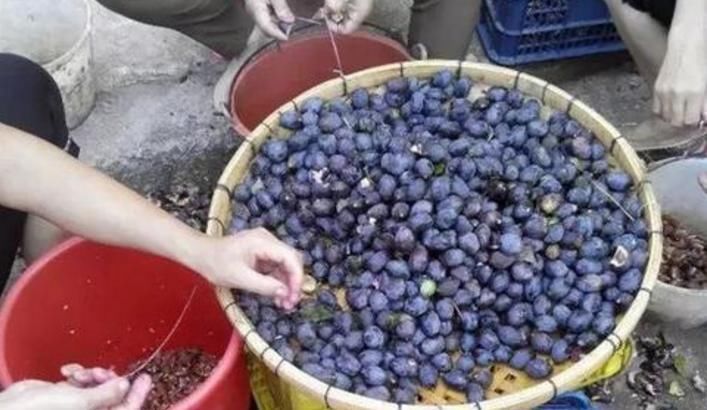 杂交|南方这“杂交水果”,曾5毛一斤卖不动,现50元一斤,成了稀罕货