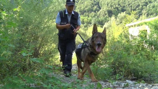 练兵|无人机、特警出动，柞水协同练兵场面超燃！