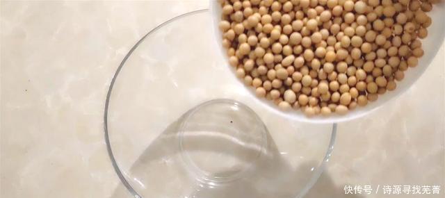 黄豆|想吃豆腐不要买，1碗黄豆1碗水，教你在家做，操作方便，好吃
