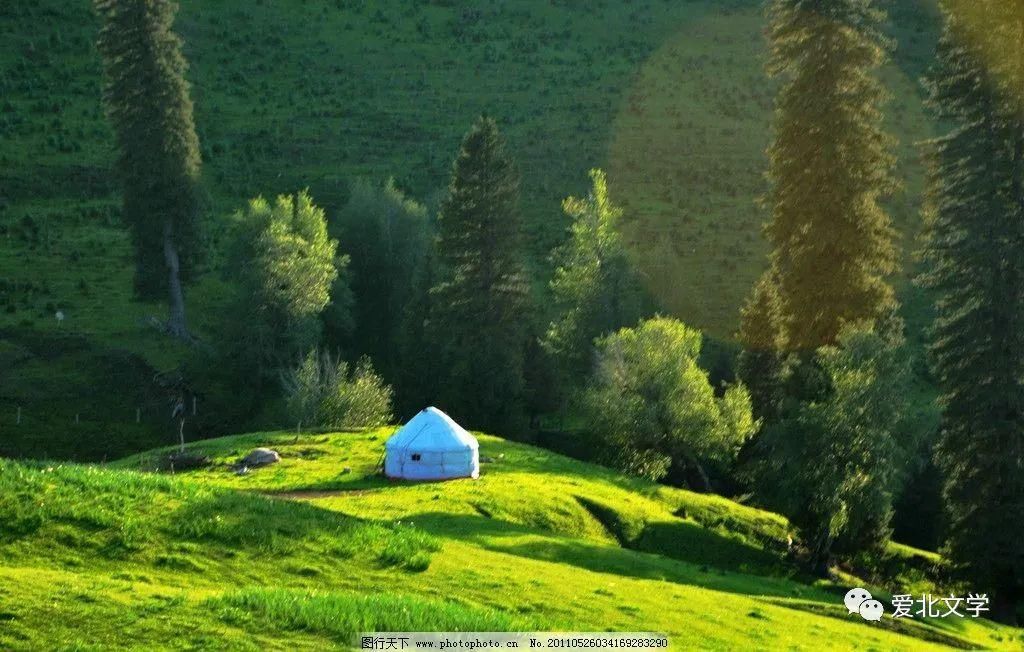 原创|原创丨记在新疆支教的日子