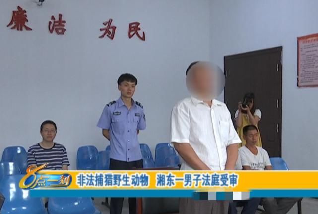 湘东区人民|判了！一男子非法捕猎野生动物，结果…