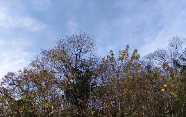 未来|未来农村将会有这两大变化