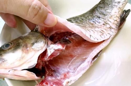  鲜香|煮鱼汤，掌握这两个要点，鱼汤奶白没腥味，鲜香营养超好喝！