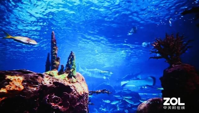 投影|极米MOVIN 01X评测：年轻人的第一台智能投影