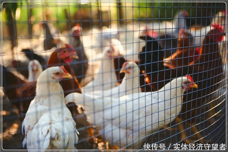 5000以下Bet365- Bet365官方网站- Bet365 APP下载生意