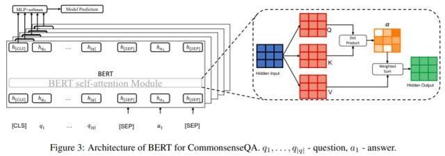  BERT|常识知识确能被捕获，西湖大学博士探究BERT如何做常识问答