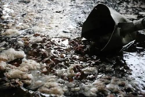  火锅|小龙坎制售2吨地沟油：地沟油卷土重来？不，它从未离开